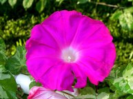 DSCN6833