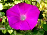DSCN7503