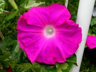 DSCN9786