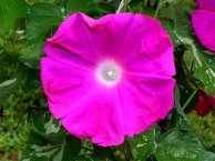 DSCN9787