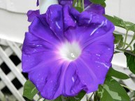 3DSCN1649