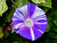 DSCN0611