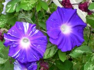 DSCN1061