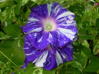 DSCN1365