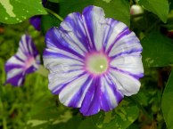 DSCN1916