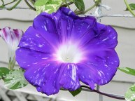 DSCN1917