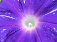 DSCN2282