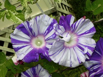 DSCN2284