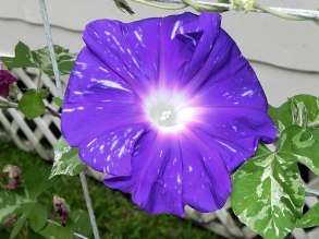 DSCN2285