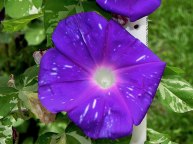 DSCN2652
