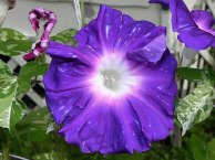 DSCN3512