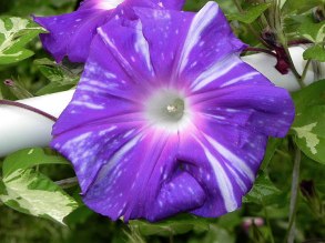 DSCN4809_01