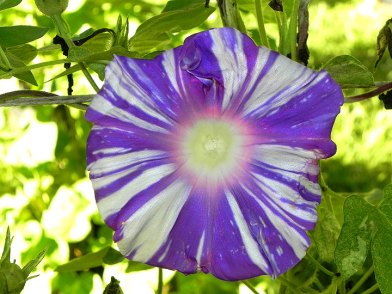 DSCN5447_02