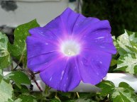 DSCN5922