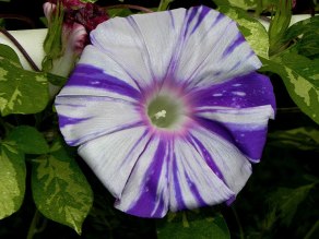 DSCN6564_01