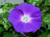 DSCN8416