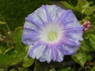DSCN0648