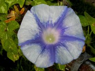 DSCN0670