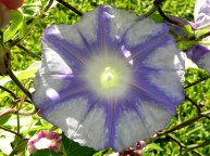 DSCN4012_01
