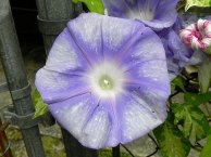 DSCN5095