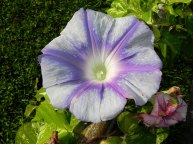 DSCN5275_02