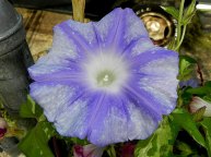 DSCN5280