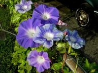 DSCN5281