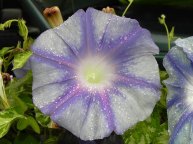 DSCN5604