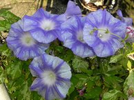 DSCN6108