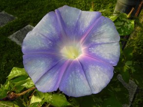 DSCN6637
