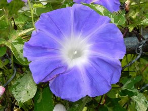 DSCN9010