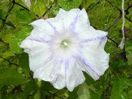 DSCN9607