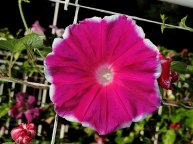 3DSCN0741