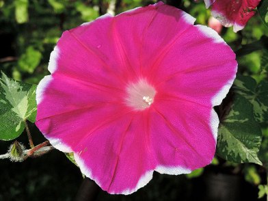 DSCN1495