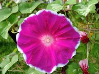 DSCN2483
