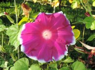 DSCN2607