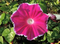 DSCN4162