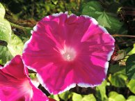 DSCN4478_01