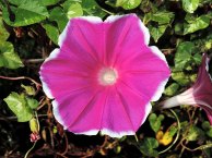 DSCN6467_01