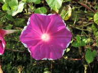 DSCN6559_01