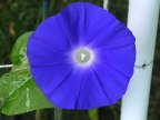 DSCN40082