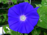 DSCN5116_01