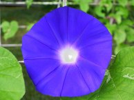 DSCN5171_01