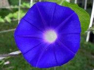 DSCN5548_01