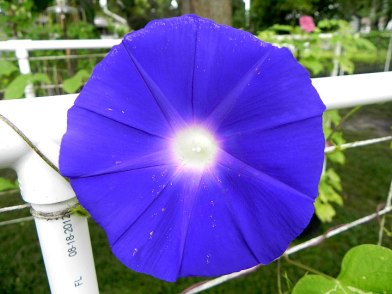 DSCN5728