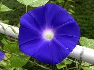 DSCN6348_01