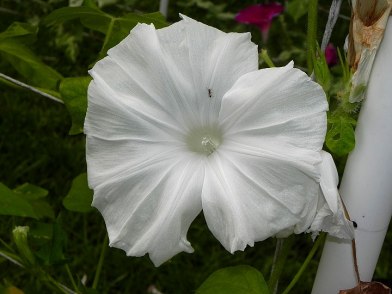 DSCN0995