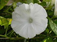 DSCN2204