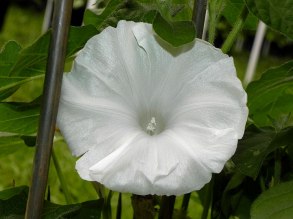 DSCN2721