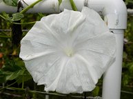 DSCN3153